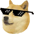 distDog distDog