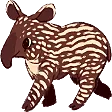 Tapir
