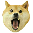 OhMyDoge