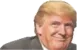 smug