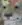 absurdly_small_charr_face