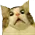 gasp