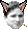 Keepo