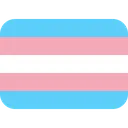 flag_trans flag_trans