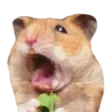 aaaa