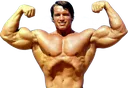 flex flex