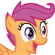 scootexcite