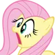 fluttergasp fluttergasp