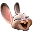 Judylol Judylol