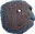 ppjFear ppjFear