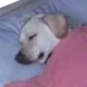 sleep
