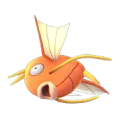 magikarp magikarp