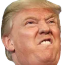 TrumpAngry