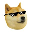 CoolDogo