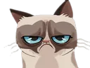 grumpy_cat