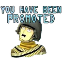BFpromoted
