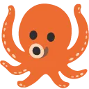 octo octo
