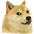 doge