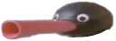 nootnoot