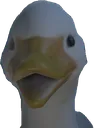 duckling