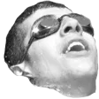 prlGasm