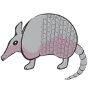 Armadillo