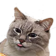 CatBlep