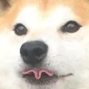 woof