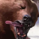 bear bear