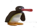 Noot