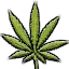 weed weed