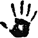 dbhandblack
