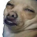 uffwuff