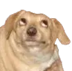 OhYou