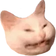 Cat_eeee