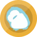pangocoin