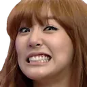 fanyMad
