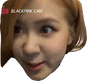 roseTriggered