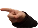 SerB_Finger