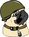 pug