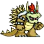 bowser bowser