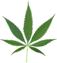 weed