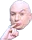drevil