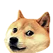 DOGE