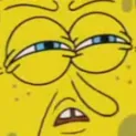 spongewut