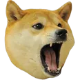 dogemad