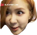 roseTriggered