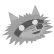Raccoon_