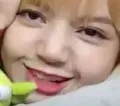 lisaderp lisaderp