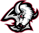 nhlBuffaloSabresOld Discord emoji